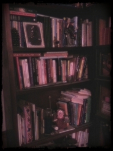 Just part of my too big book collection/research department..